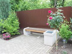 Вербена 