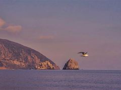 Жемчужина Крыма