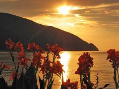 Жемчужина Крыма