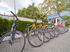 Приветливый берег