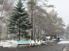 Строитель (Владивосток)