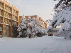 Строитель (Владивосток)