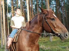 Вселуг