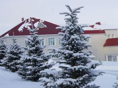 Якты-Куль