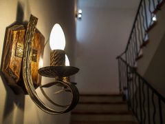 Донна Роза(Donna Rosa)