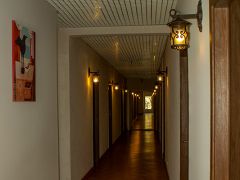 Донна Роза(Donna Rosa)