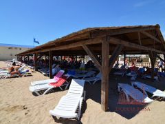 Донна Роза(Donna Rosa)