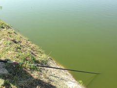 Арнеево апарт-отель