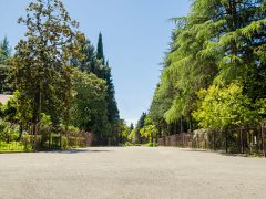 Морская даль