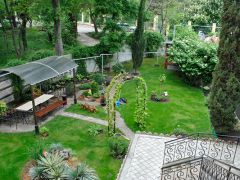 Красный мак (Алушта)