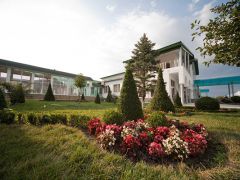 Адиюх-Пэлас (Хабез)