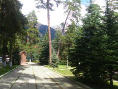 Энергетик
