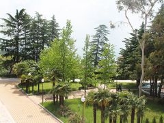 Старт (Сочи)