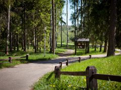 COUNTRY RESORT