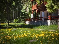 COUNTRY RESORT