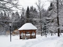 Лесная поляна (Истра)