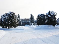 Лесная поляна (Истра)