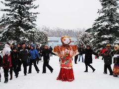 Лесная поляна (Истра)