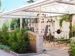 Альтернатива(Береговое)