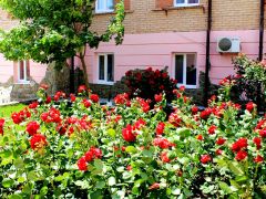 Бригантина(п.Береговое)