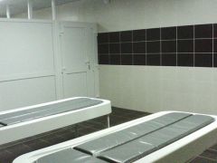 Березовая роща (Тюмень)