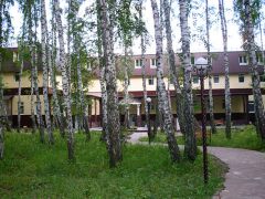 Березовая роща (Тюмень)