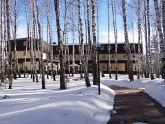 Березовая роща (Тюмень)