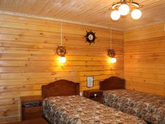 Золотой лотос