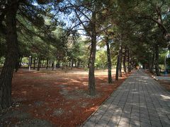 Orchestra Horizont Gelendzhik Resort