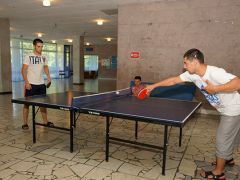 Чайка ТОК (Алушта)