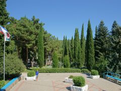 Чайка ТОК (Алушта)