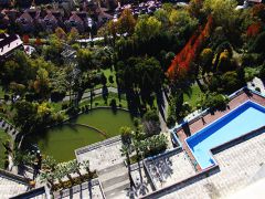 Нева Интернейшенел