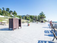 Нева Интернейшенел