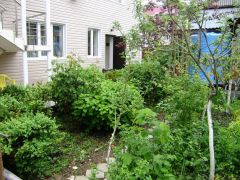 Лагуна (Новомихайловский)