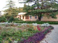 Кристалл (Хоста)