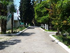 Кристалл (Хоста)