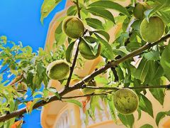 Эпрон (Сочи)