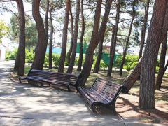 Центр детских каникулярных программ 