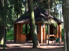 Your Camp детский лагерь