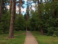 Your Camp детский лагерь