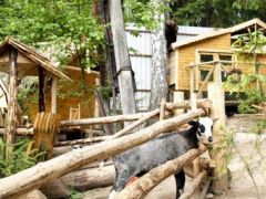 Боярская усадьба