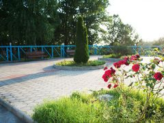 Дон 