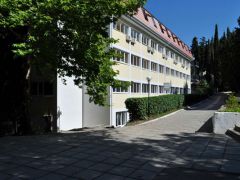 Кипарис ДОЛ