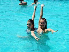 Кипарис ДОЛ