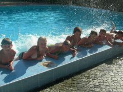 Кипарис ДОЛ