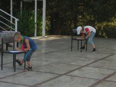 Кипарис ДОЛ