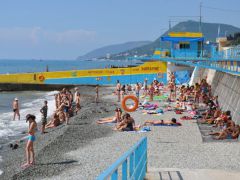 Кипарис ДОЛ