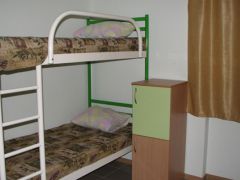 Кипарис ДОЛ