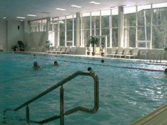 Лесные дали