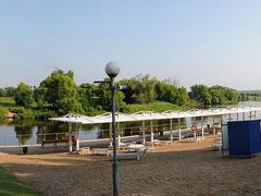 Лесные дали